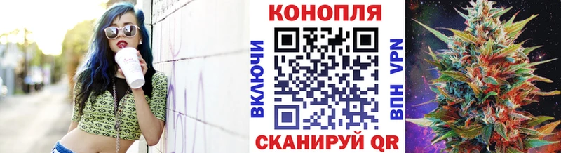 Бошки Шишки планчик Новоуральск